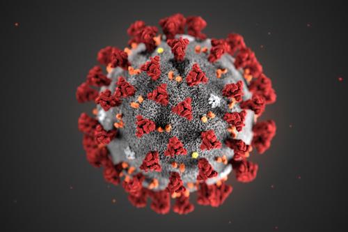 Ituri : deux nouveaux cas positifs de Coronavirus
